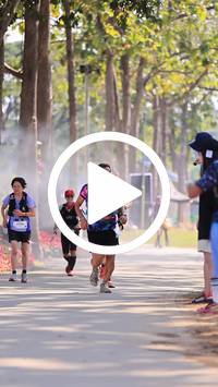 BIB:  <button type="button" onclick="openModal(27614096)" class="btn btn-primary btn-sm float-right" data-toggle="modal" data-target=".modal-high-quality">
                <i class="fa fa-download"></i> Download
                </button>